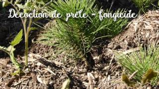 Les Jardins Familiaux des Canebiers - Mouans-Sartoux - Ecophyto